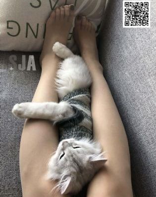 qq头像高清欧美_迅雷下载电影